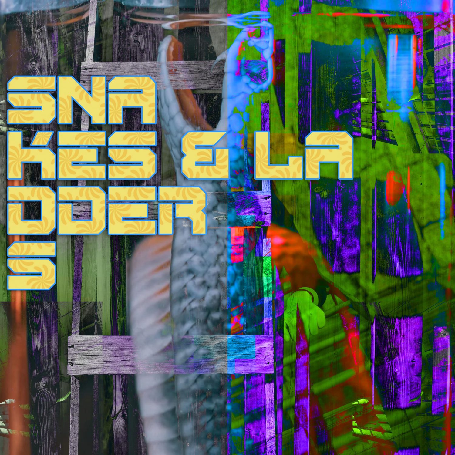 Snakes & Ladders Album Cover